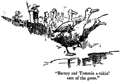 [Illustration: Barney and Tommie a-takin' care of the geese.]