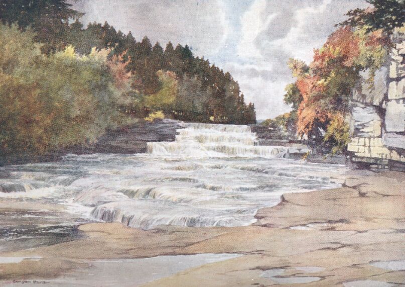 Aysgarth Force
