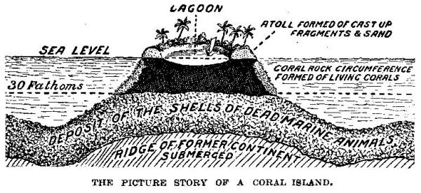 [Illustration: THE PICTURE STORY OF A CORAL ISLAND.]