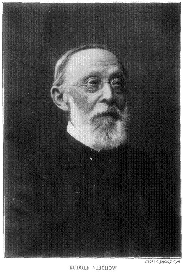 rudolph virchow image