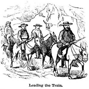 Leading The Train