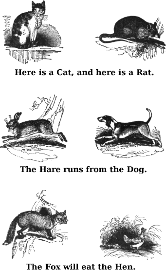 Here is a Cat, and here is a Rat. The Hare runs from the Dog. The Fox will eat the Hen.