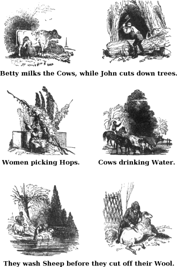  Betty Milks the Cows, While John Cuts Down Trees. Women Picking Hops. Cows Drinking Water. They Wash Sheep Before They Cut off Their Wool. 