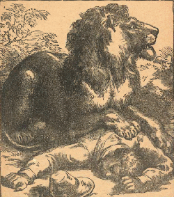 THE LION SITS DOWN ON THE HUNTER.