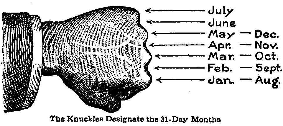 The Knuckles Designate the 31 Day Months