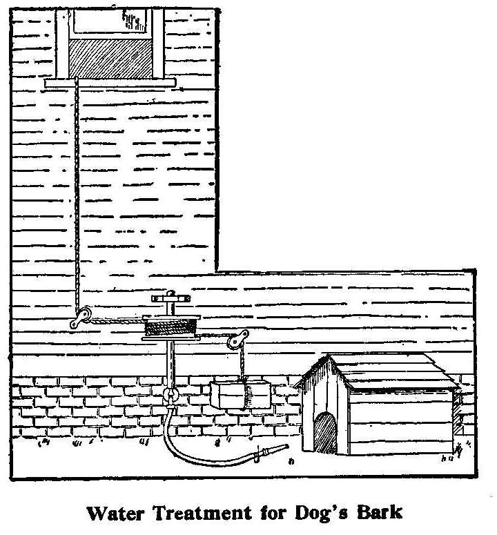 Water Treatment for Dog's Bark 