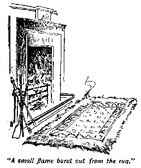 [Illustration: "<i>A small flame burst out from the
rug</i>."]