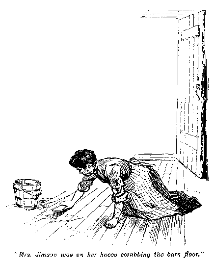 [Illustration: "<i>Mrs. Jimson was on her knees scrubbing the barn
floor</i>."]
