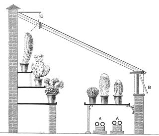 SECTION OF HOUSE FOR CACTUSES