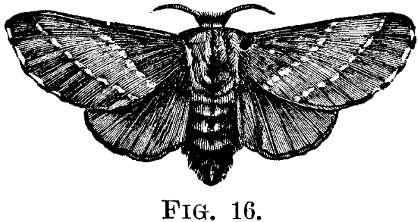 FIG. 16.