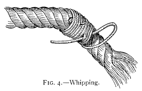 illustrated rope