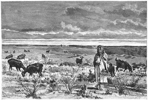 Herder en kudde in de ruïnen van Babylon.