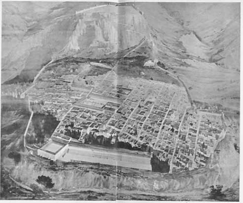 FIG. 8. PRIENE, PANORAMA OF THE TOWN