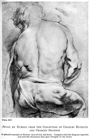 Plate XVI. STUDY BY RUBENS FROM THE COLLECTION OF CHARLES RICKETTS AND CHARLES SHANNON A splendid example of Rubens' love of rich, full forms. Compare with the diagram opposite, and note the flatnesses that give strength to the forms.