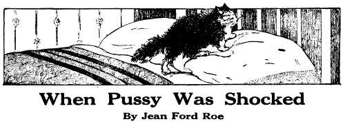 When Pussy Was Shocked
By Jean Ford Roe