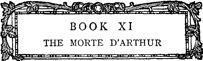BOOK XI - THE MORTE D'ARTHUR