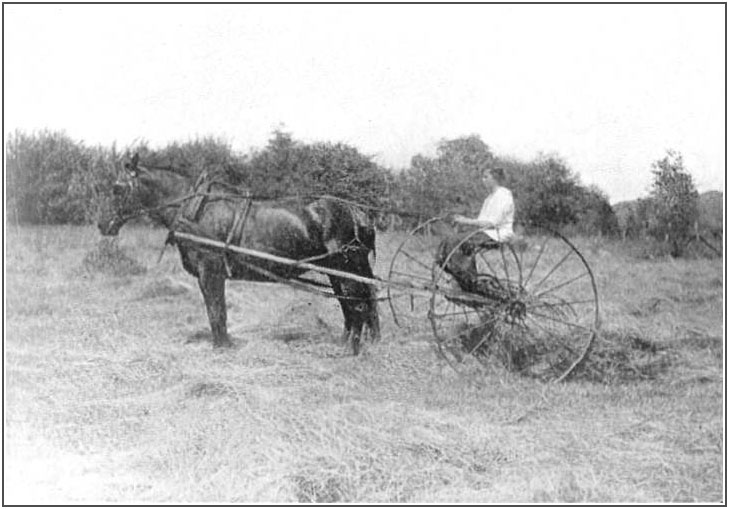 female farm laborers