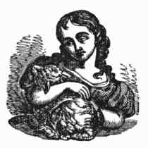 Illustration of a girl holding a rabbit.