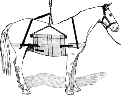 Fig. 5—Ordinary type of heavy sling.