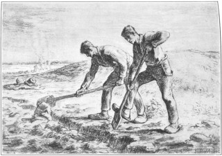 Plate 4.—Millet. "The Spaders."
