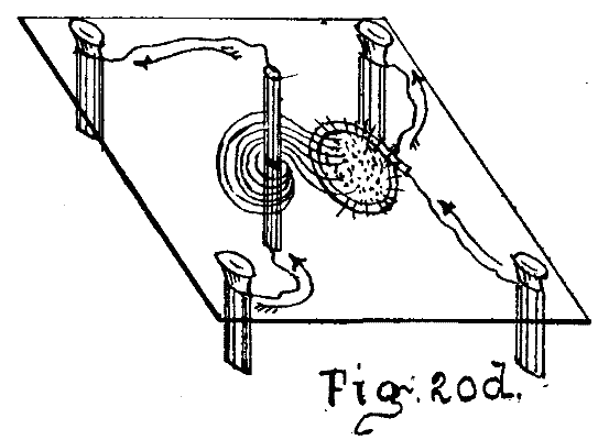 Fig. 20d.