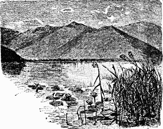 THE SHORES OF LAACHERSEE.