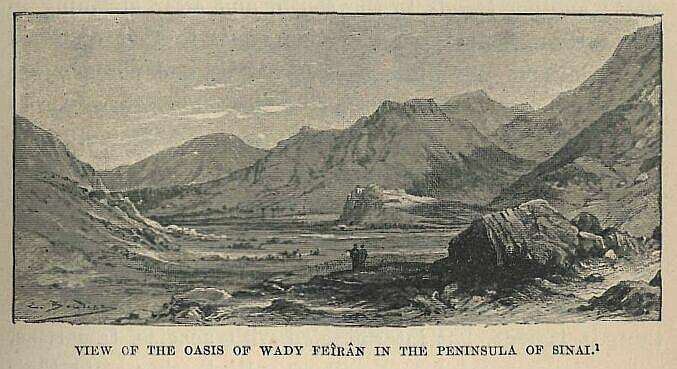 159.jpg View of the Oasis Of Wady FeÎkÂn in The Peninsula Of Sinai 