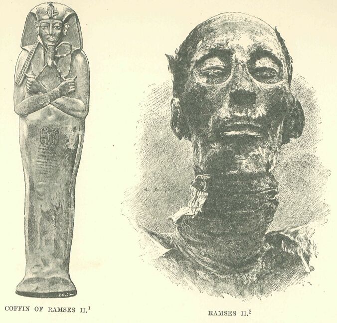 249.jpg the Coffin and Mummy of Ramses Ii 