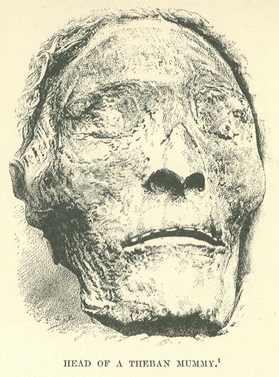 007.jpg Head of a Theban Mummy 