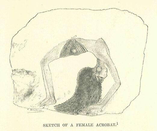 036.jpg Sketch of a Female Acrobat 