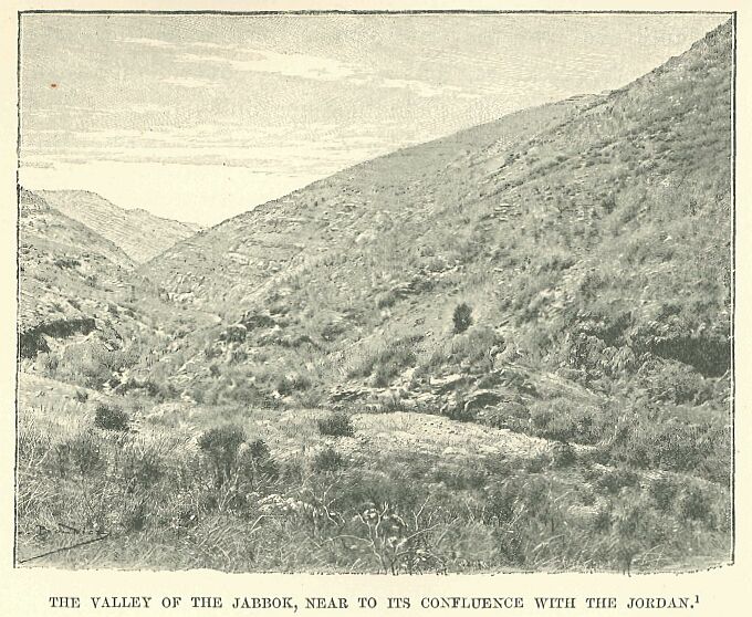 261.jpg the Valley of The Jabbok, Near to Its Confluence With the Jordan 