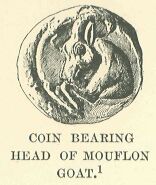 056a.jpg Coin Bearing Head of Mouflon Goat 