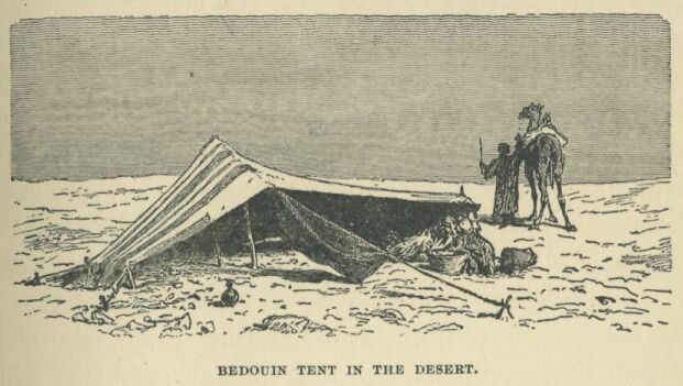 029.jpg Bedouin Tent in the Desert 