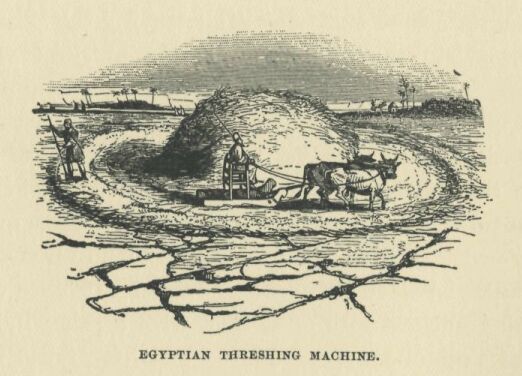 056.jpg Egyptian Threshing Machine 