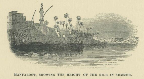 250.jpg Manfaloot, Showing the Height of The Nile In Summer 