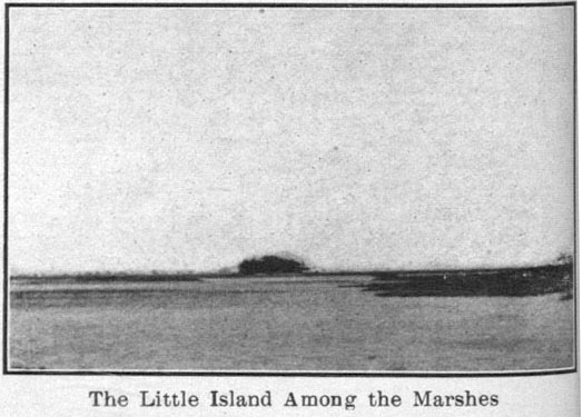 The Little Island Among the Marshes