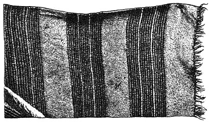 Figure 55: Part of Navajo blanket.