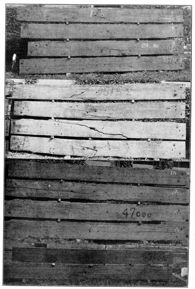 Plate II.—Side Views of Tested Timbers.