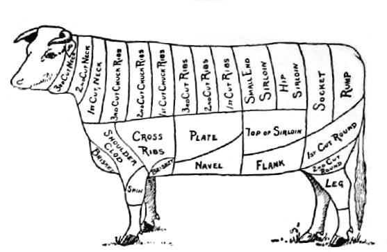 Fig. 1.—Diagram of cuts of beef.