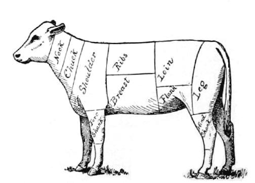 Fig. 2.—Diagram of cuts of veal.