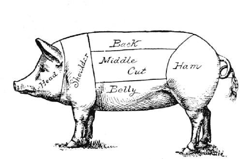 Fig. 3.—Diagram of cuts of pork.