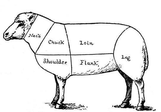 Fig. 4.—Diagram of cuts of mutton.