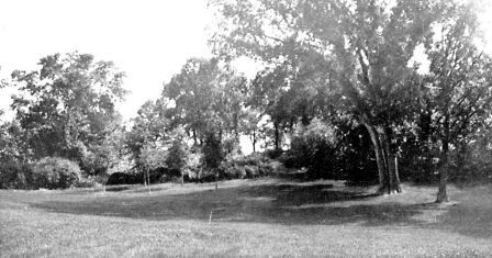 A valley lawn with shrubbery on border of woods.
Formerly occupied by henhouse and yards.

View on same grounds with garden pergola shown on page 331.
