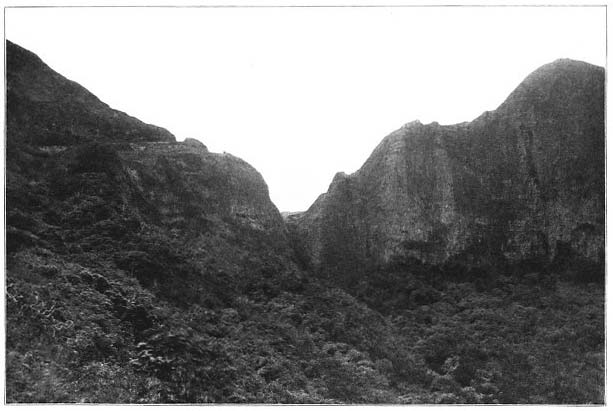 Scene from the Road over Nuuanu Pali.