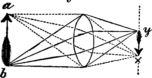 Illustration:
Fig. 63.