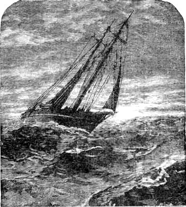 The schooner