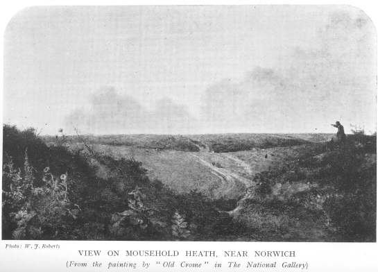 View on Mousehold Heath, near Norwich.  (From the painting by “Old Crome” in The National Gallery.)  Photo: W. J. Roberts