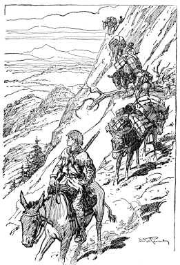 A man riding mule-back along a ridge, followed by several pack animals.