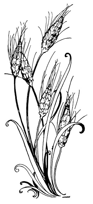 free black and white harvest clipart - photo #23