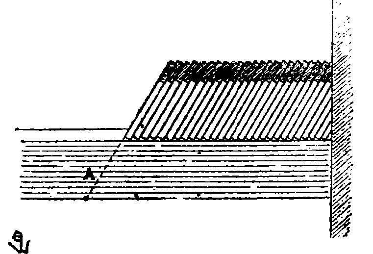 Fig. 5.—Coupe longitudinale.